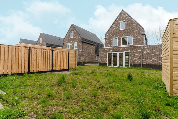 57-Moerasorchidee 13 - Lelystad.jpg